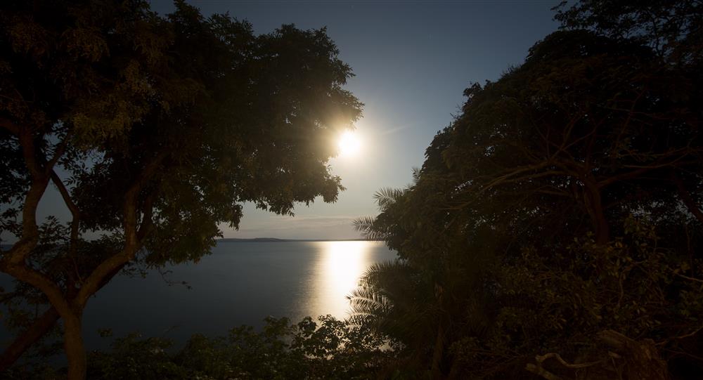 Rubondo Island Camp